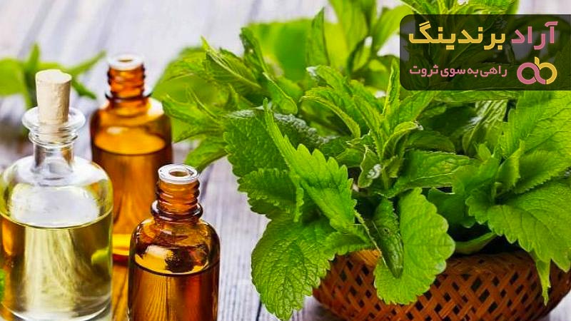 راهنمای خرید عرق نعناع لیتری + قیمت عالی