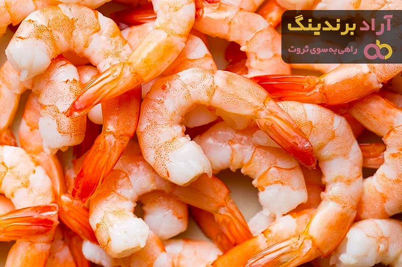 خرید بهترین انواع شاه میگو نارنجی با قیمت ارزان