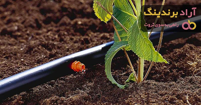 قیمت و خرید نوار آبیاری قطره ای تیپ + فروش ارزان