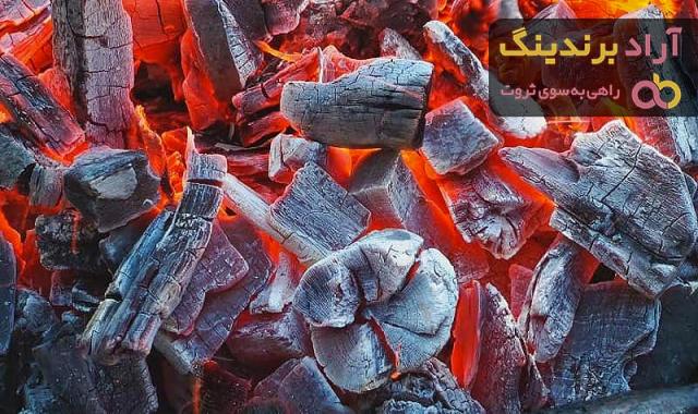 معرفی زغال فشرده جکسون + بهترین قیمت خرید