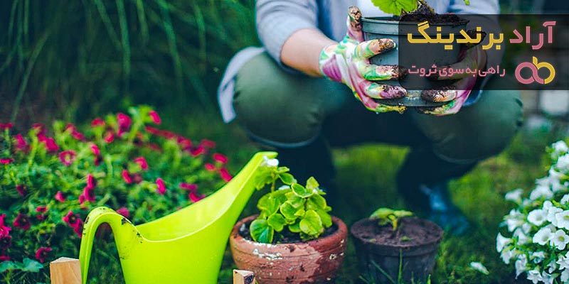 قیمت و خرید  گلدان پلاستیکی مستطیلی بزرگ + فروش ارزان