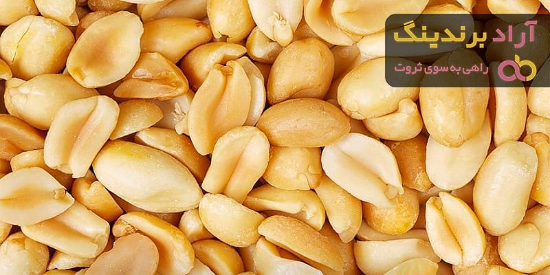 خرید بادام زمینی خام با غلاف با قیمت استثنایی