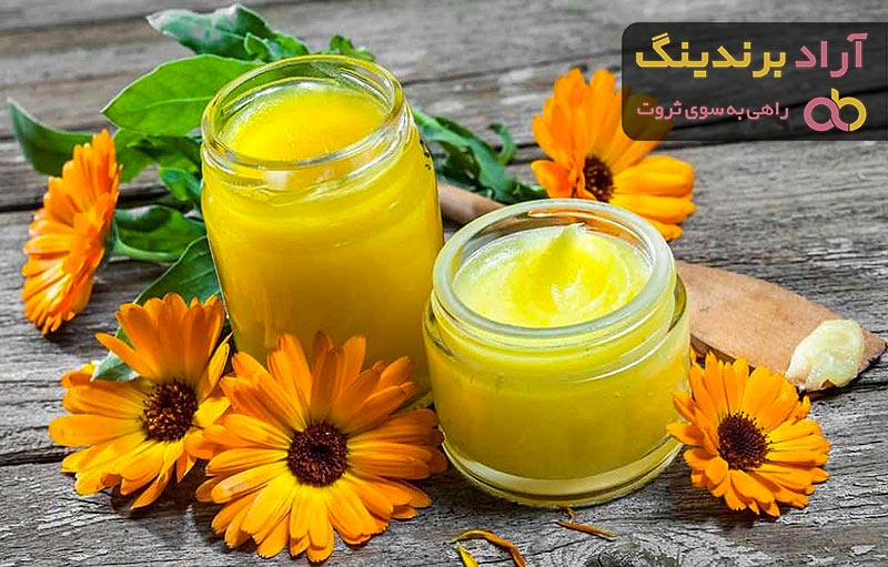 مناسب ترین قیمت گل همیشه بهار کوهی در دی ۱۴۰۱