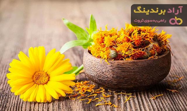 قیمت گل همیشه بهار در بازار