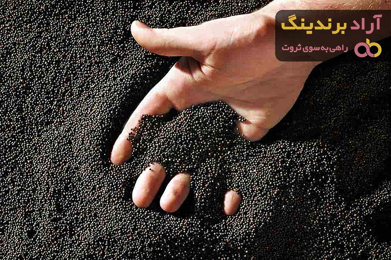 دانه کلزا برای عروس هلندی + قیمت خرید