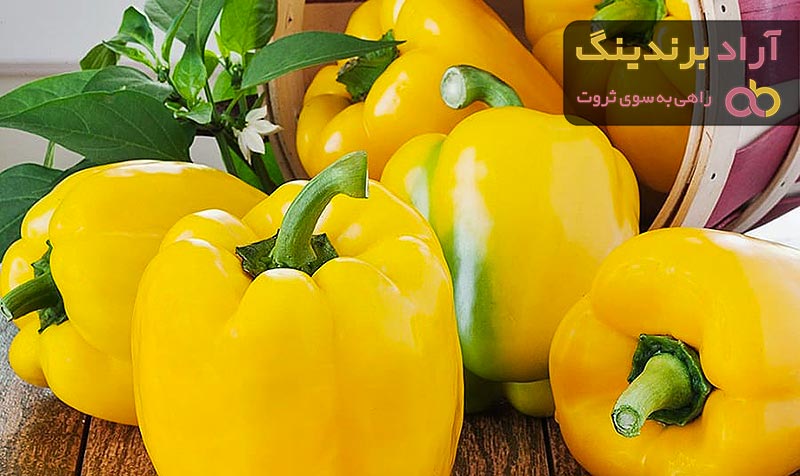 فلفل دلمه ای برای پخت + قیمت خرید