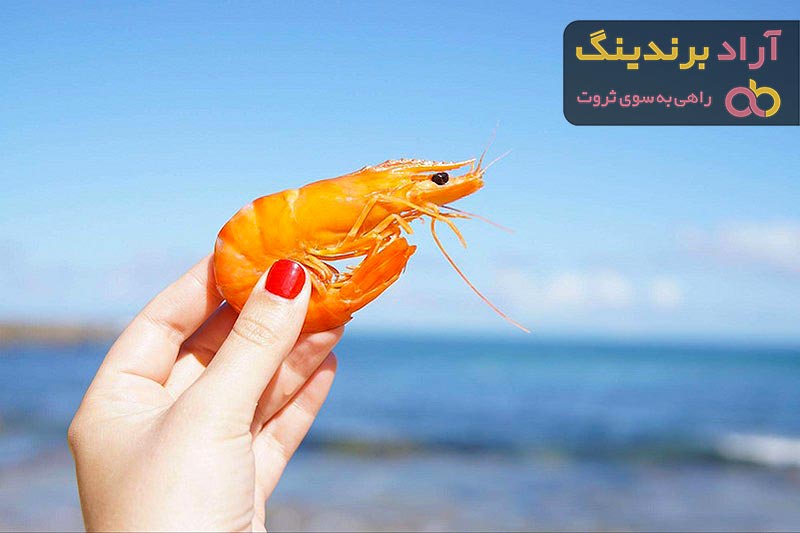 قیمت خرید میگو تازه بوشهر + عکس