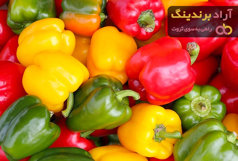 بهترین فلفل دلمه ای خوراکی + قیمت خرید عالی