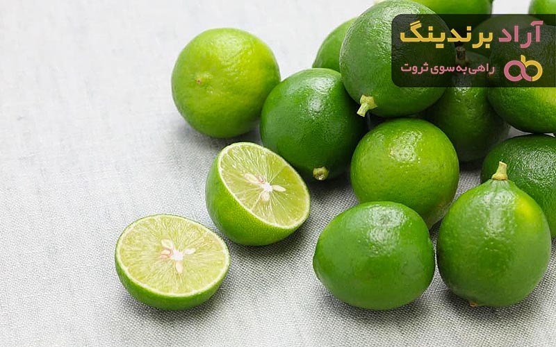 معرفی لیمو ترش مخروطی + بهترین قیمت خرید