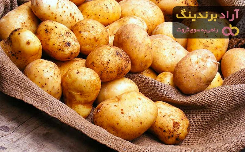 آشنایی با سیب زمینی مخصوص + قیمت استثنایی خرید سیب زمینی مخصوص