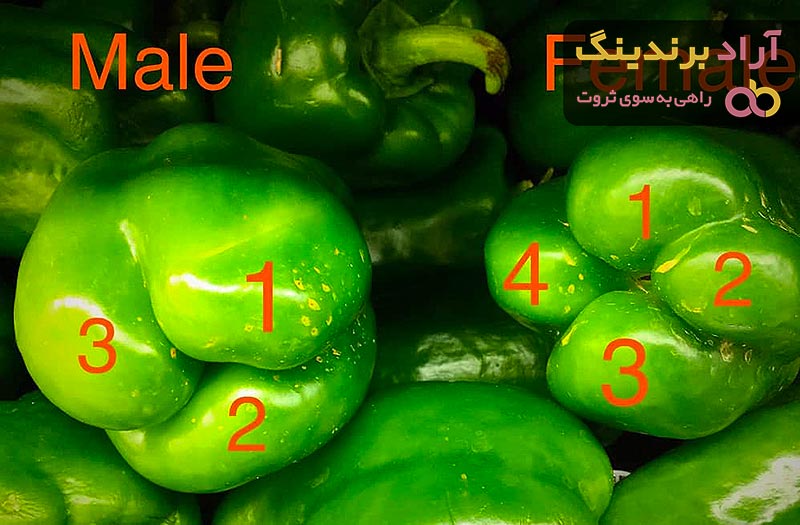 بهترین فلفل دلمه ای پلو + قیمت خرید عالی