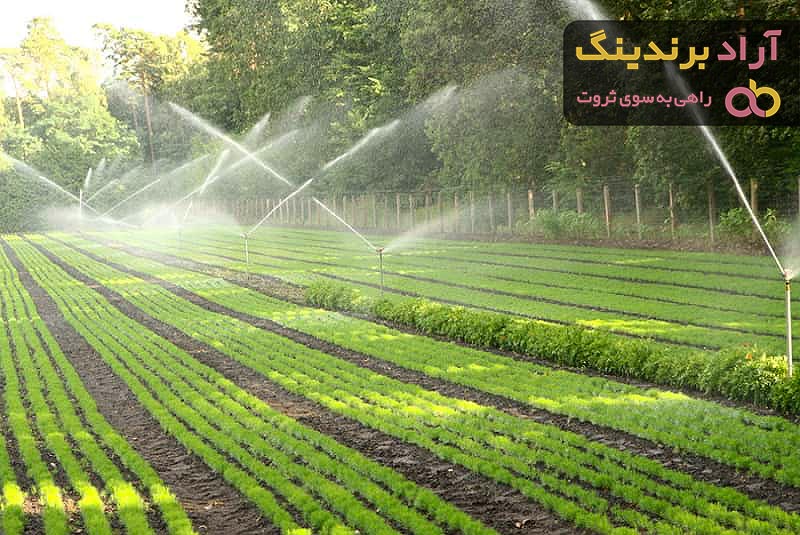 مقایسه قیمت خرید انواع رایزر آبیاری در دی ۱۴۰۱