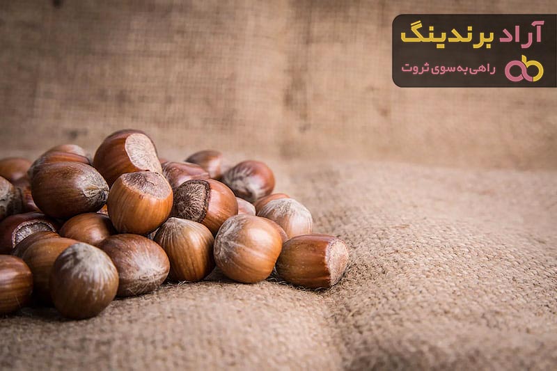 فندق خام در بارداری + قیمت خرید