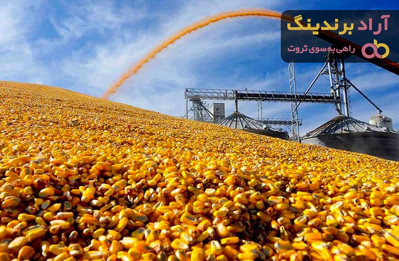 قیمت خوراک طیور تخمگذار + مشخصات بسته بندی عمده و ارزان