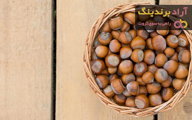 قیمت فندق هندی تازه + مشخصات بسته بندی عمده و ارزان