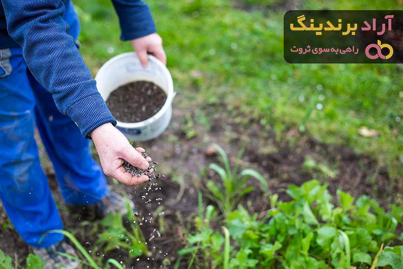 قیمت کود ارگانیک ویتامینه + مشخصات بسته بندی عمده و ارزان