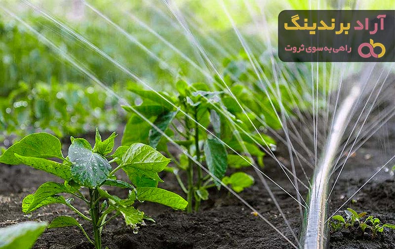 قیمت خرید لوله آبیاری بارانی + راهنمای استفاده