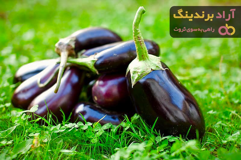 خرید با کیفیت ترین انواع بادمجان با قیمت ارزان