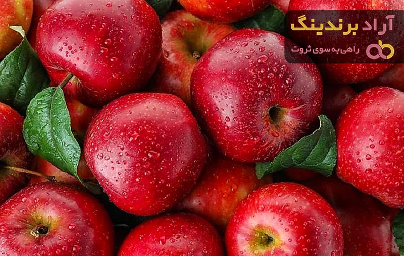 خرید و قیمت انواع سیب قرمز درجه یک