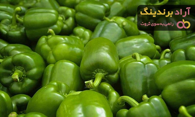 خرید انواع فلفل دلمه ای + قیمت