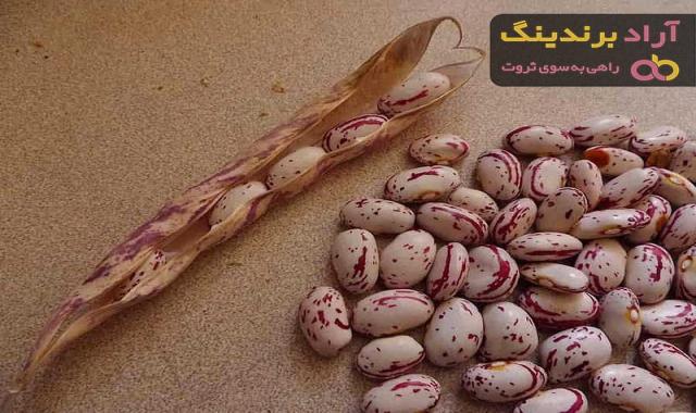 قیمت خرید لوبیا چیتی عمده + مشخصات، عمده ارزان