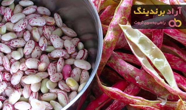 گرفتن نفخ لوبیا چیتی (چگونه نفخ حبوبات را بگیریم؟)