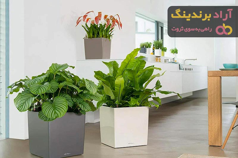 خرید گلدان پلاستیکی مشکی + قیمت عالی با کیفیت تضمینی