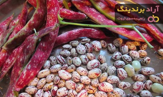 آشنایی با لوبیا چیتی + قیمت استثنایی خرید لوبیا چیتی