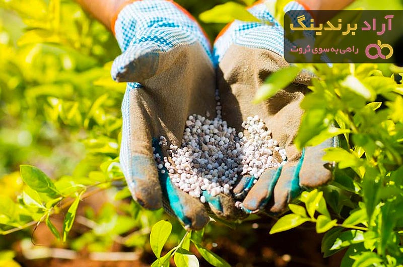 مناسب ترین قیمت کود شیمیایی سفید در دی ۱۴۰۱