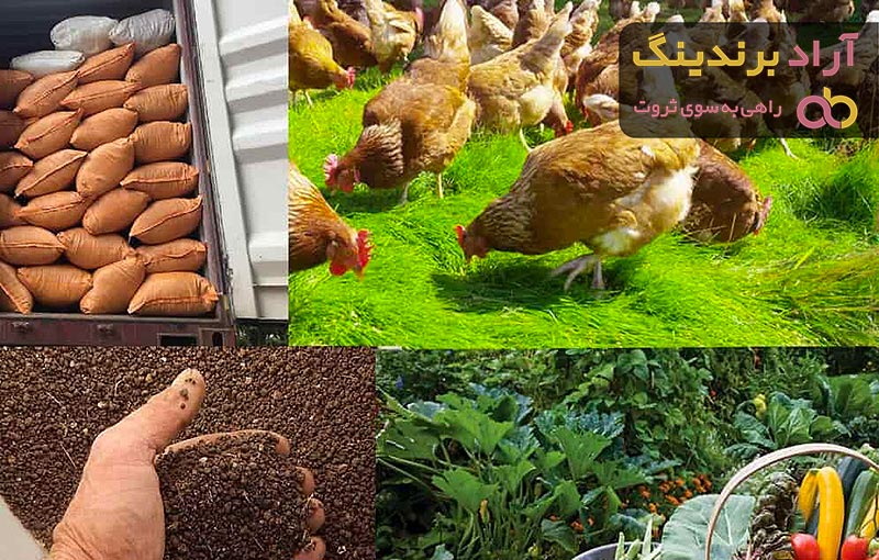 قیمت خرید کود مرغی پلیت شده + راهنمای استفاده