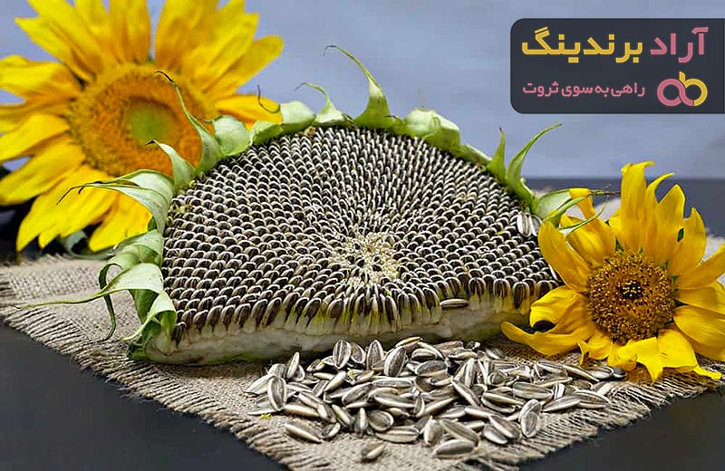فواید تخمه آفتابگردان برای کبد چرب و دیابت