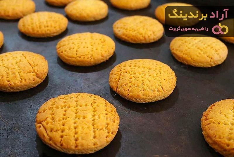 قیمت کلوچه زنجبیلی رژیمی + مشخصات بسته بندی عمده و ارزان