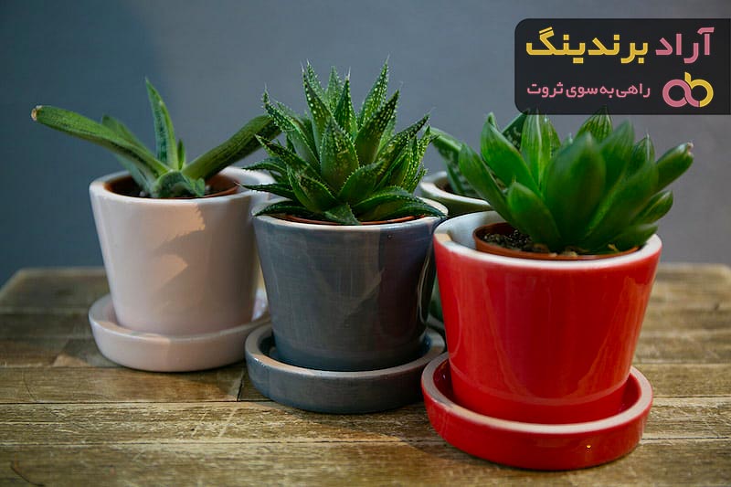 قیمت گلدان سفالی + خرید انواع متنوع گلدان سفالی