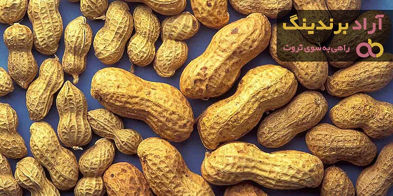 قیمت خرید بادام زمینی سفید + تست کیفیت