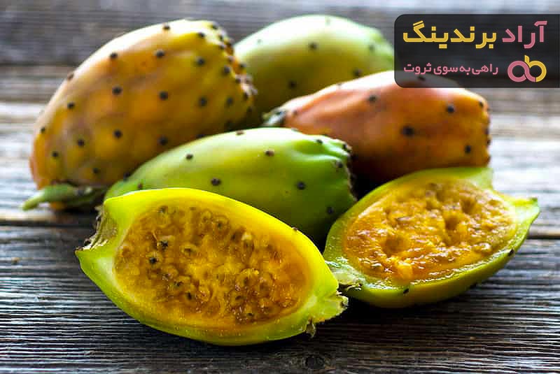 میوه کاکتوس چیست؟ + قیمت خرید میوه کاکتوس