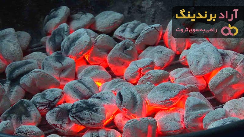 خرید بهترین محصولات برند زغال با قیمت عالی