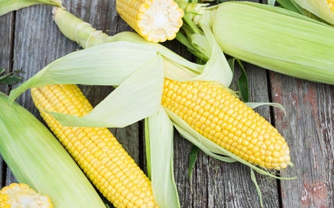 قیمت خرید آرد ذرت + مزایا و معایب