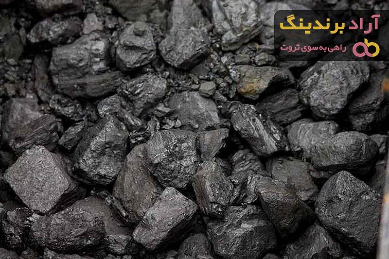 زغال گردو | خرید انواع زغال گردو در بسته بندی های مختلف