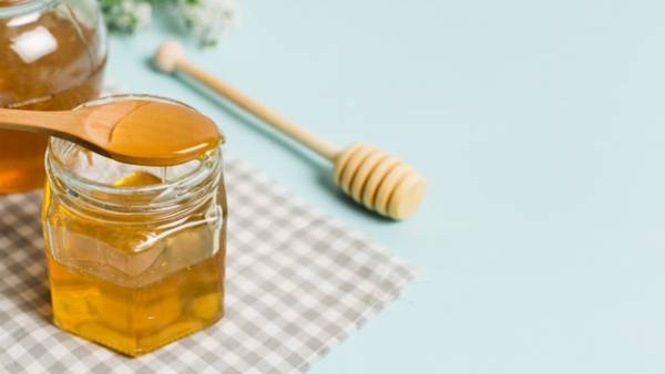 قیمت خرید عسل کنار وحشی + تست کیفیت