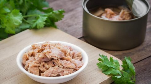 قیمت خرید کنسرو تن ماهی تحفه + عکس