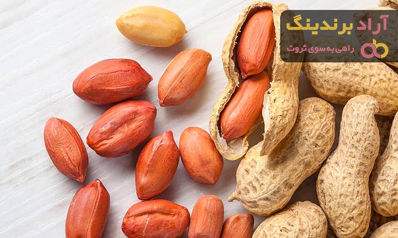 قیمت خرید بادام زمینی از تولید به مصرف به صورت عمده و جزئی