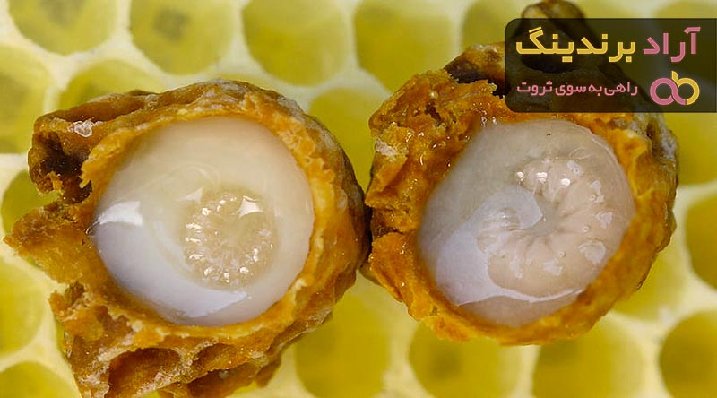 قیمت و خرید ژل رویال مثبت سبز + فروش ارزان