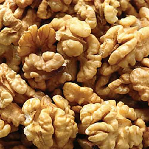 خرید انواع گردو سفید با بهترین قیمت