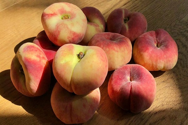 خرید انواع هلو انجیری + قیمت عالی با کیفیت تضمینی