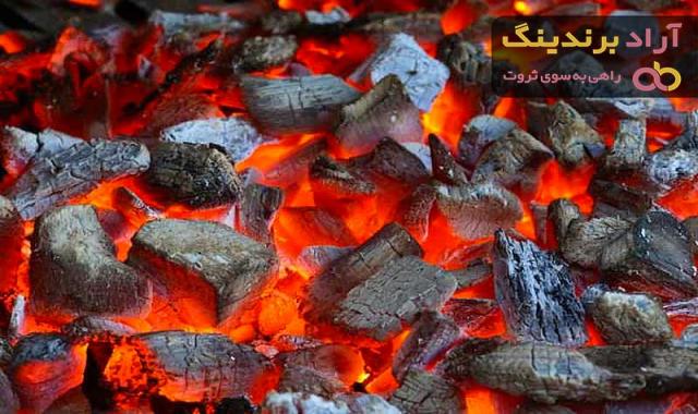 خرید انواع زغال گردو با بهترین قیمت