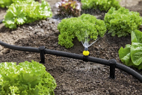 مناسب ترین قیمت نوار تیپ در دی ۱۴۰۱