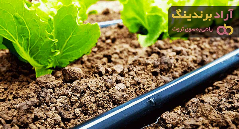 خرید و قیمت انواع نوار آبیاری قطره ای