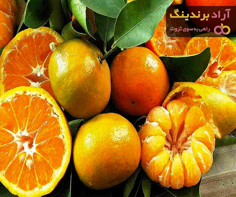 خرید و قیمت جدیدترین انواع مرکبات