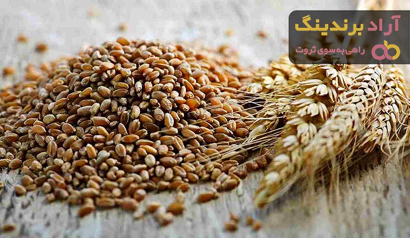 قیمت گندم دوروم تراریخته + مشخصات بسته بندی عمده و ارزان