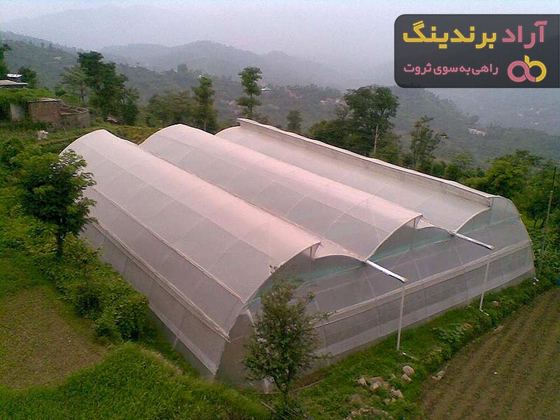 خرید و قیمت روز نایلون گلخانه سبز